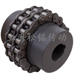 滚子链联轴器 GL10-YA65*142-YA70*142